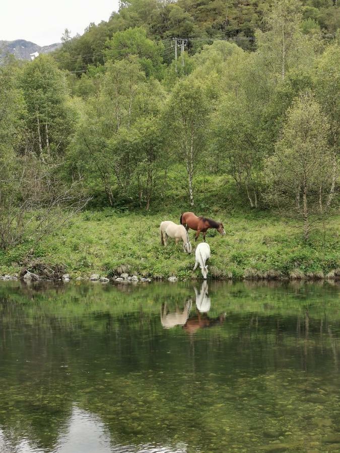 Steinklepp Camping Kvamme Экстерьер фото
